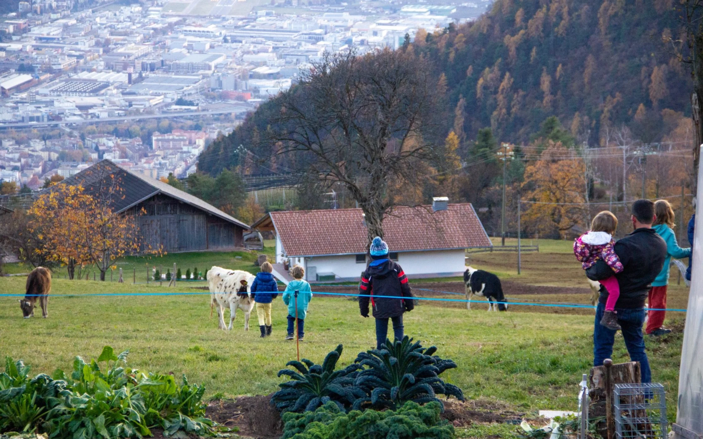 Advent am Haflingerhof 53 Gro.jpg